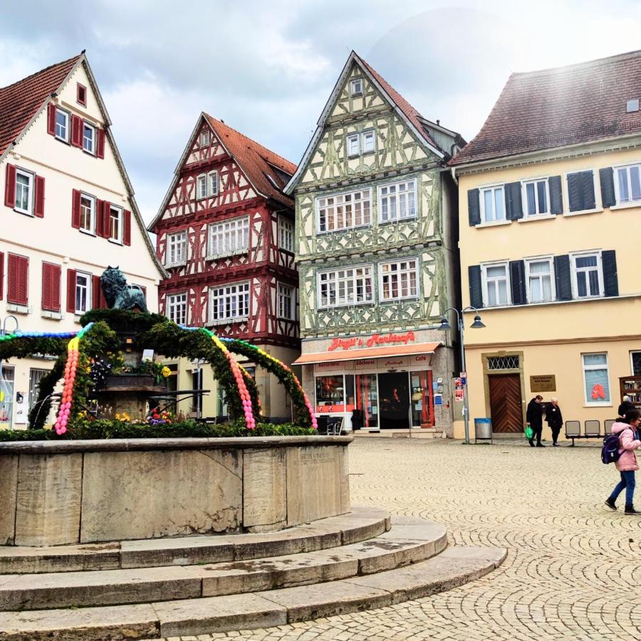 Im Herzen Der Altstadt Vaihingen an der Enz Exterior foto